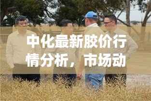 中化最新胶价行情分析，市场动态与未来展望速递