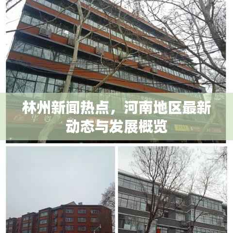 林州新闻热点,河南地区最新动态与发展概览