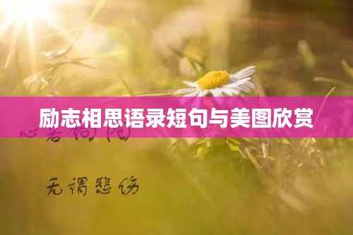 仙姿佚貌 第3页