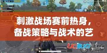刺激战场赛前热身,备战策略与战术的艺术探讨