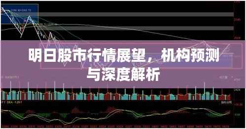 明日股市行情展望,机构预测与深度解析