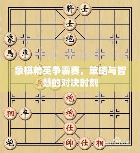 象棋精英争霸赛，策略与智慧的对决时刻