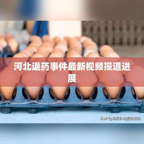 河北退药事件最新视频报道进展