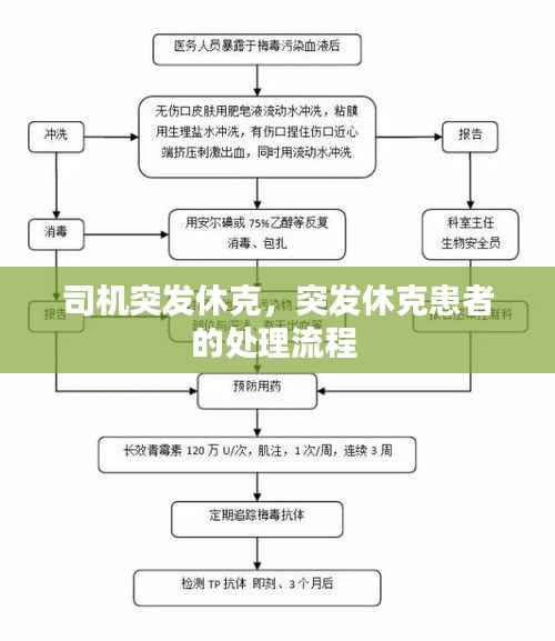 司机突发休克,突发休克患者的处理流程