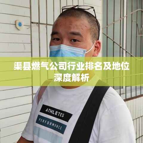 渠县燃气公司行业排名及地位深度解析