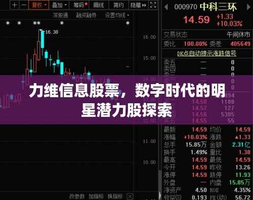 力维信息股票,数字时代的明星潜力股探索