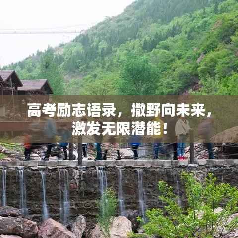 高考励志语录,撒野向未来,激发无限潜能!