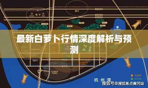最新白萝卜行情深度解析与预测