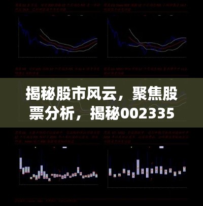 揭秘股市风云，聚焦股票分析，揭秘002335股票动态与前景展望